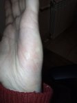 IMG_20220928_062538.jpg