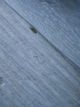 20221004_003536.jpg