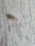 20221004_004003.jpg