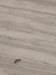 20221004_095442.jpg