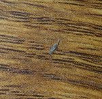 20190529_004927.jpg