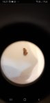 Screenshot_20190808-182731_WhatsApp.jpg