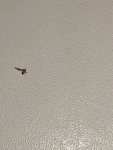 IMG-20210923-WA0007.jpg