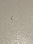 IMG-20210923-WA0009.jpg