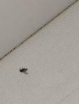 IMG-20210923-WA0010.jpg