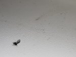IMG_20211114_102554.jpg