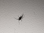 IMG_20211114_102541.jpg
