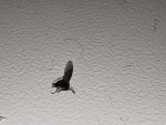 IMG_20211114_102447.jpg