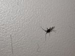 IMG_20211114_102421.jpg