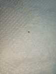 BF9CA570-85E8-4E24-A052-3A785A364A3C.png