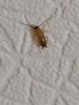 IMG_20220627_040156.jpg