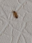IMG_20220627_040148.jpg