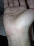 IMG_20221001_015419.jpg