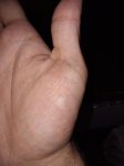 IMG_20220928_035834.jpg